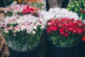 Schnittblumen im Blumengeschäft